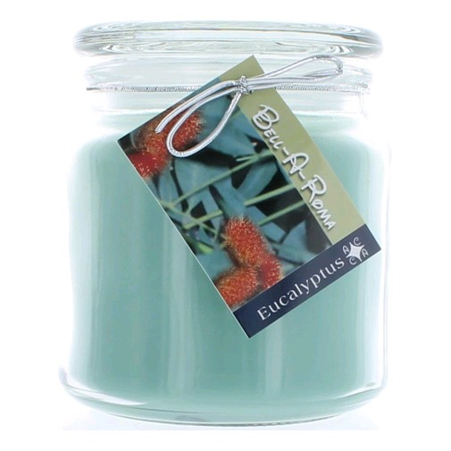 Hand Made Scented Soy 16 oz Classic Jar Candle Eucalyptus