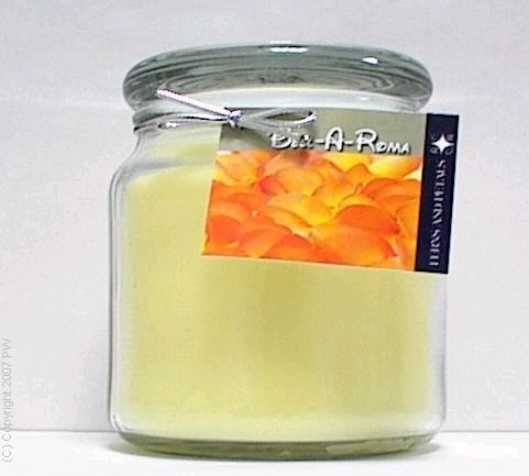 Hand Made Scented Soy 16oz Classic Jar Candle - Ferns & Petals